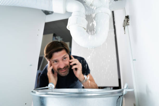 Best Boilers & Radiators  in Ferguson, MO